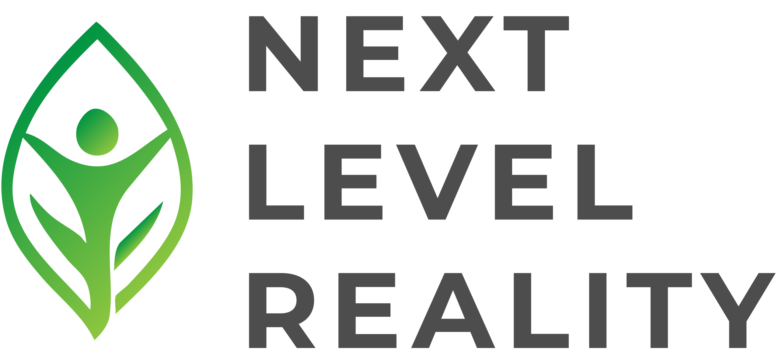Next Level Reality