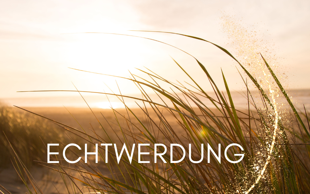 Wir sind die Vision!