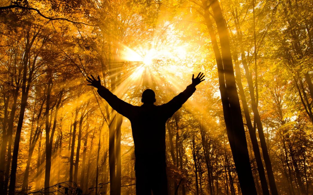 Die Veränderung UNSERER REALITÄT in 9 Minuten!